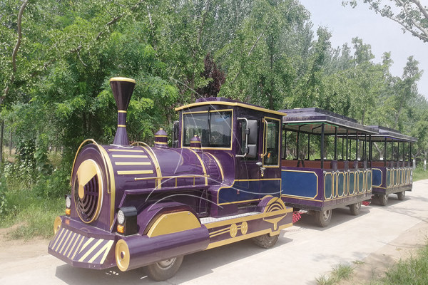 park diesel trackless train cost
