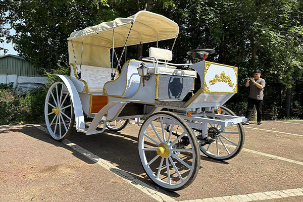 European Style Modern Carriage with Steering Wheel and Canopy