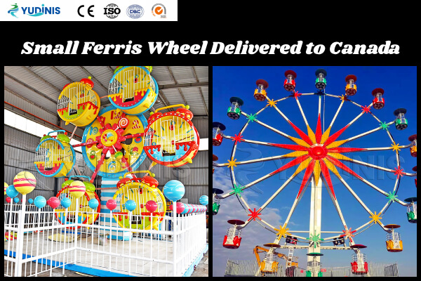 Carnival Small Ferris Wheel for Playground in Canada
